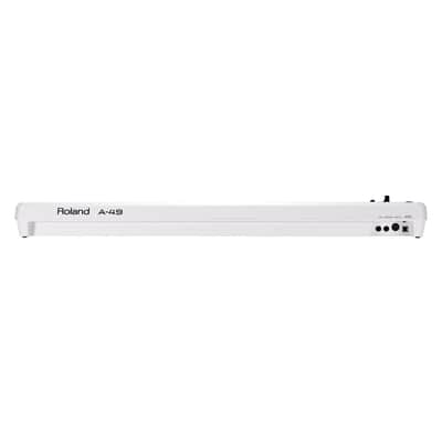 Roland - A-49 White MIDI Keyboard Controller image 2