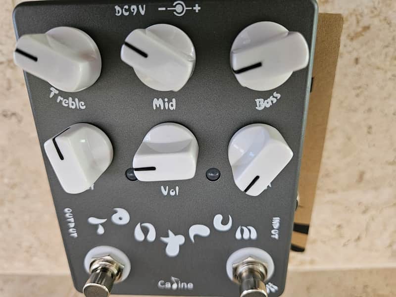 Caline CP-15 Tantrum Heavy Metal Distortion 2010s - Gray image 1