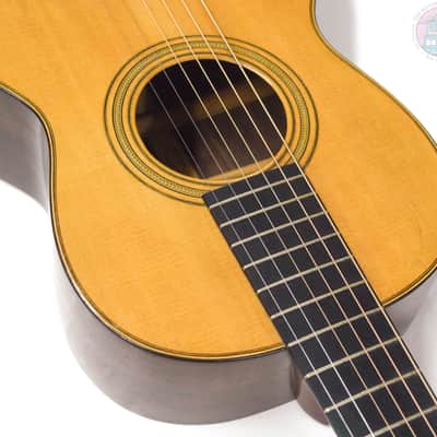 Martin  Style 21  1883-1889 image 4