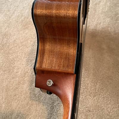Taylor GT-8 Baritone 8-String Custom Built. image 8