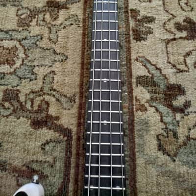 Customized Microtonal Glarry P Bass inspired by Angine De Poitrine image 5