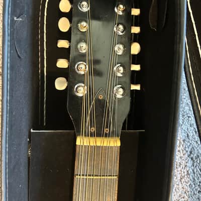 Black 12-String Acoustic Guitar w/ Floral Pickguard & Hard Case image 2