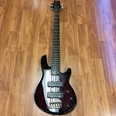 Schecter Raiden Special 5 Bass image 2
