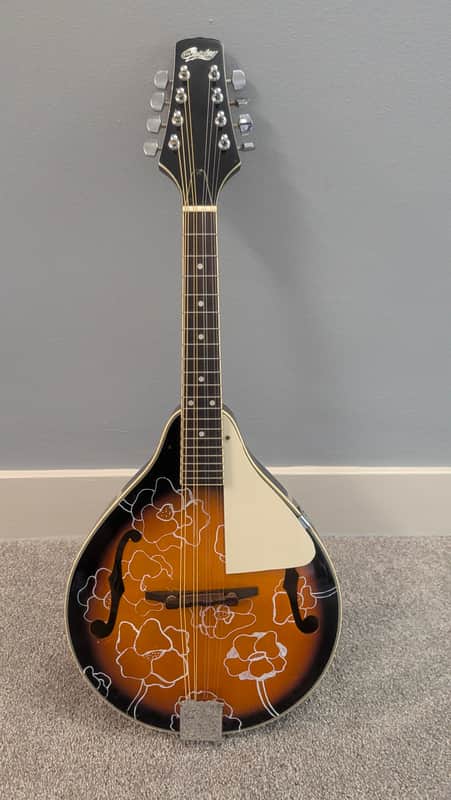 Copley CAM100 Mandolin image 1