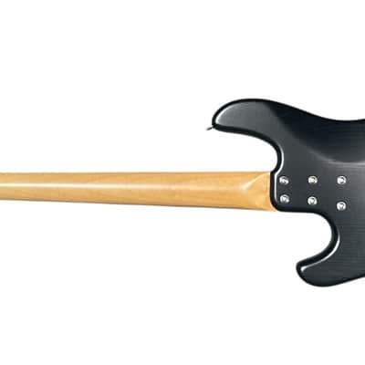 Sandberg California Vs "Lionel" Short Scale (30"), Blackburst / Roasted Maple *ON ORDER ETA SEPT. 2026 image 8