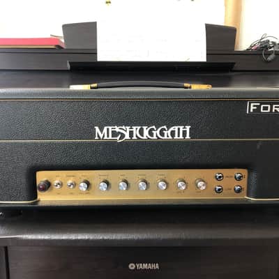 Fortin Amplification tube amplifiers for sale in USA | guitar-list
