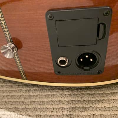 Hofma Classical Guitar 2012 with inboard preamp/tuner - Spruce/Rosewood image 5