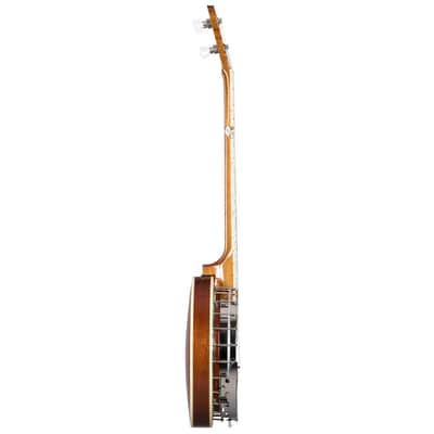 Epiphone Mastertone Classic Banjo With Hardshell Case image 7