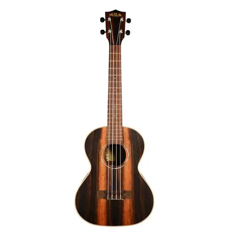Kala KA-EBY-T Ebony Series Tenor Ukulele image 2