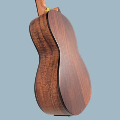 Nalu All-Solid Tenor Acoustic Electric Ukulele image 6
