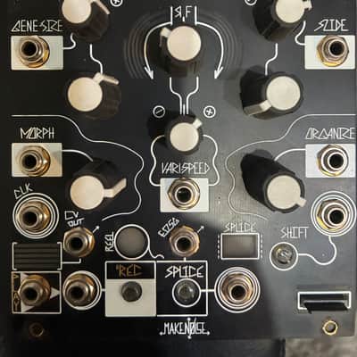 Make Noise Morphagene Module | Reverb