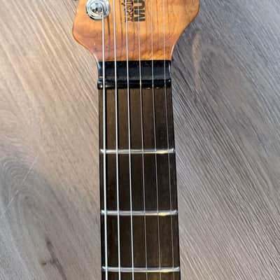 Ernie Ball Music Man Albert Lee ball family reserve image 3