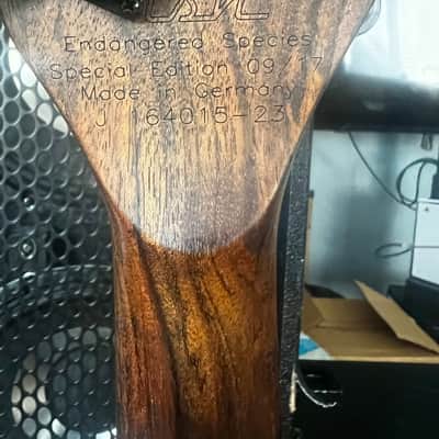 Warwick Dolphin 4-string bass image 11