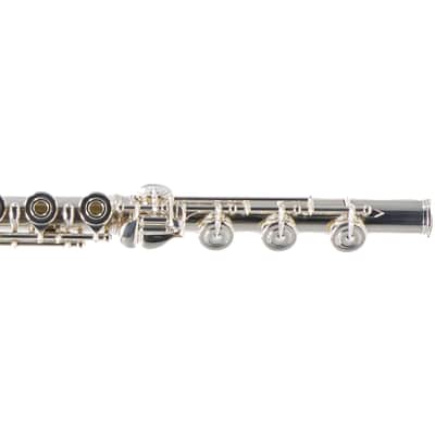William S. Haynes Custom Silver Flute with B Foot, Offset G, C# Trill, Split E image 5