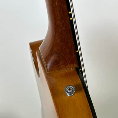 Gibson Les Paul Recording 1973 - Walnut w/ HC image 14