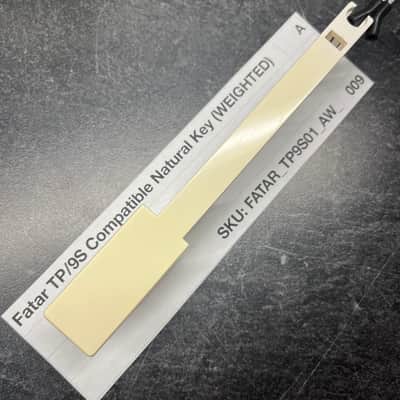 Fatar Replacement Weighted A Key (TP/9S Keybeds) for Pro-2, Prophet-08, Prophet-12, Mopho Keyboard, Mopho SE, Mopho X4, E-Mu XK-6/MK-6/PK6, Ensoniq Halo