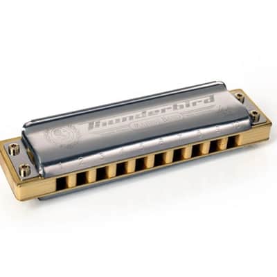 Hohner Marine Band Thunderbird 10 Hole Diatonic Harmonica, Low F - M201116 image 2
