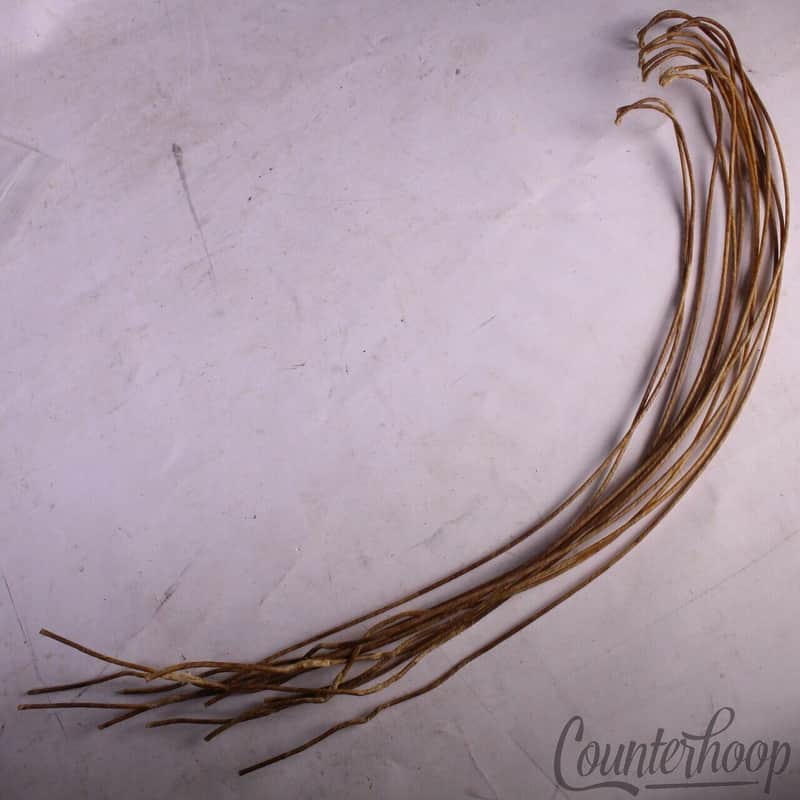 Ludwig Catgut(Sheep) 15"Snare Drum Wires/12x 20.5"Strands Vintage Cat Gut 70s US image 1