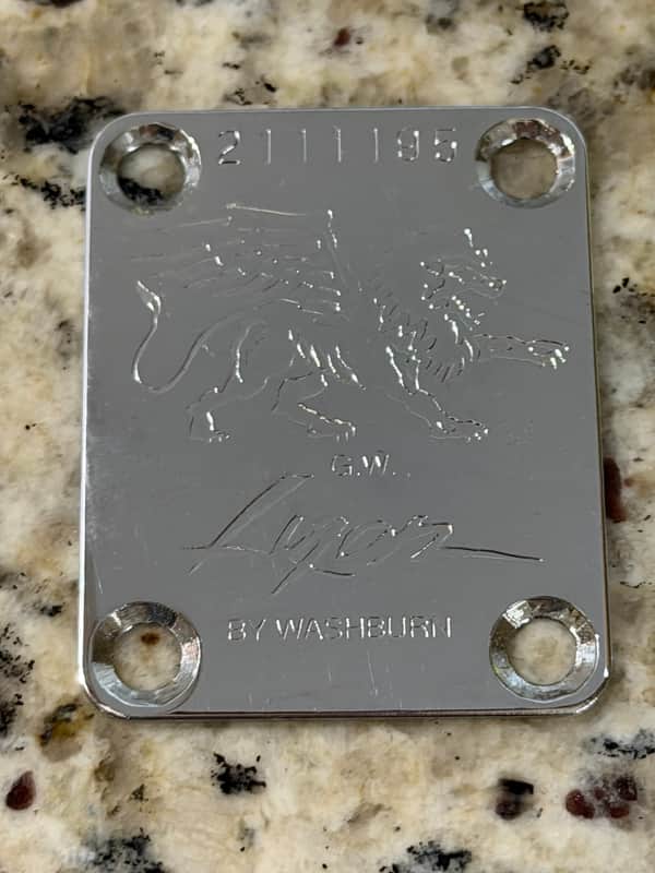 Lyon Neck Plate - Chrome Washburn image 1