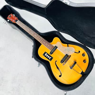 EKO Model 200 Hollow Body Guitar 1966 - Natural image 21