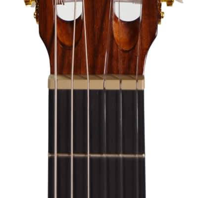 Ibanez GA6CE-AM Classical Cutaway Nylon String Acoustic Guitar 2026 - Natural Gloss Finish image 3