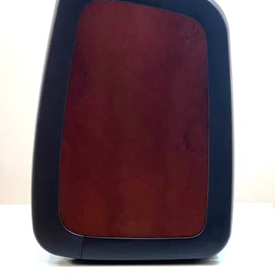 LR Baggs A-REF Acoustic Reference Amplifier image 8