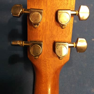 Kala Satin Hawaiian Koa Tenor Ukulele KA-KOA-T - Koa image 8