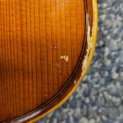 D Z Strad Model LC200 (Rental Return) 1/8 Size image 7