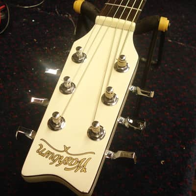Washburn EA20WH Festival Series Acoustic/Electric Guitar white image 14