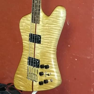 Ribbecke  Bass 1982 Vintage Custom Thunderbird Bass Very Very Rare 1 of 4 image 2