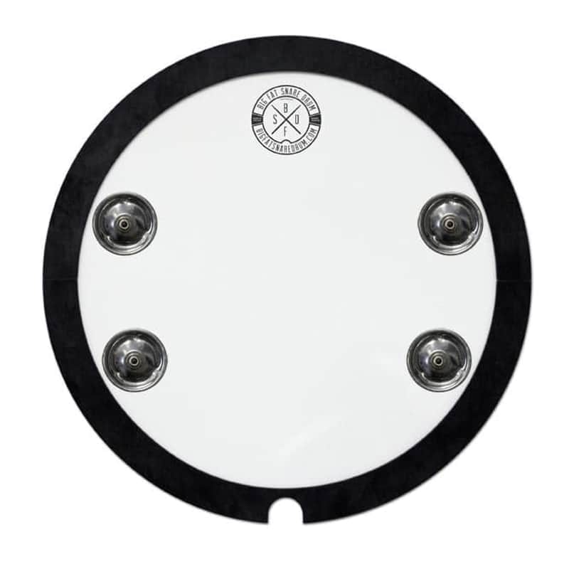 Big Fat Snare Drum Snare-Bourine 10" image 1