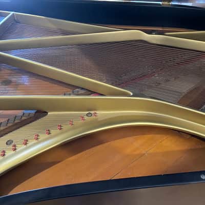 Chickering Grand piano 7foot image 2