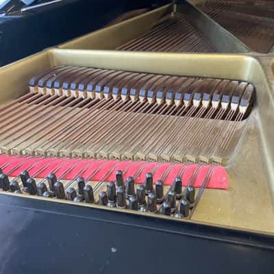 Chickering Grand piano 7foot image 5