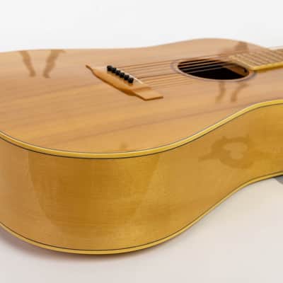 Daion MUGEN Mark III - Maple Series - Six String Acoustic image 21