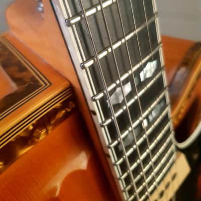 1964 HOYER BIANKA big Archtop Guitar. Holy grail vintage guitar! image 13