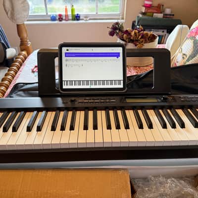 Casio CDP-S350 88-Key Compact Digital Piano 2010s - Black