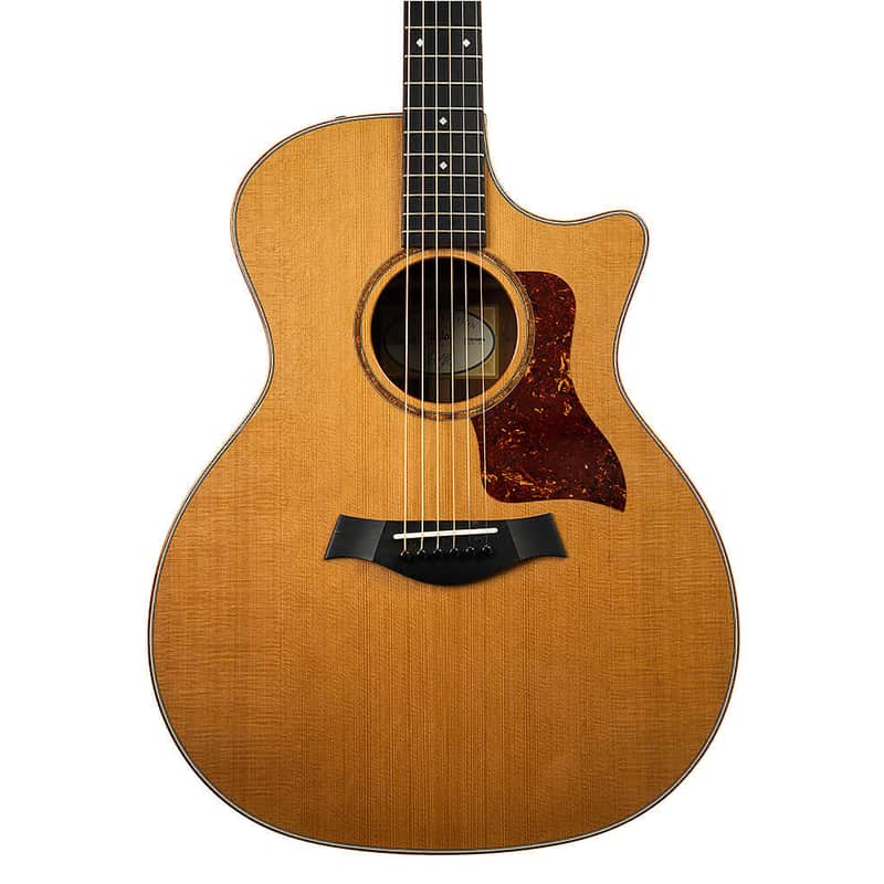 Taylor 514ce with ES2 Electronics image 3