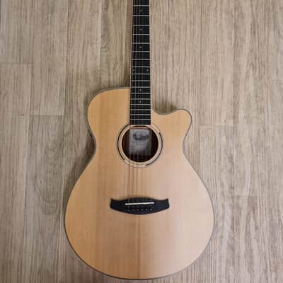 Tanglewood Discovery Exotic DBT SFCE PW image 1