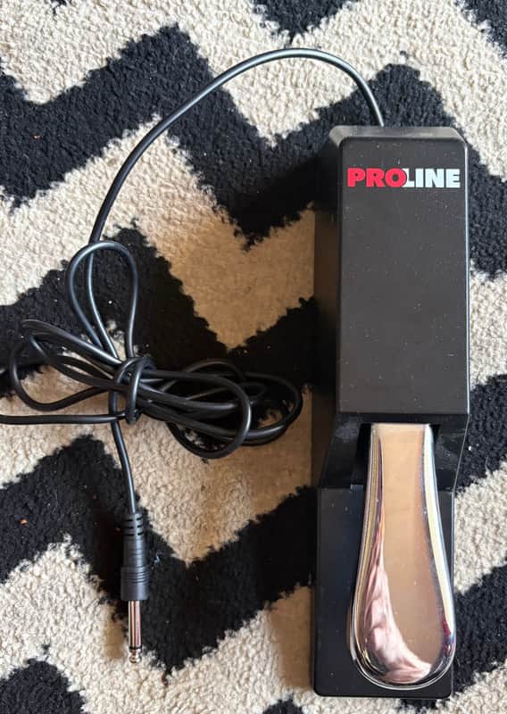Pro Line Sustain Pedal image 1