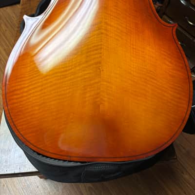 Core 4/4 Cello Academy Series Model Core 30 image 8