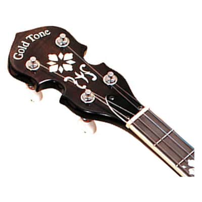Gold Tone TS-250 Professional 4-String Tenor Banjo image 4