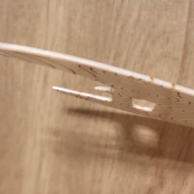 Pickguard + Control Plate Telecaster Style  2025 image 4