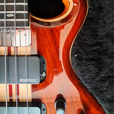 Alembic Darling 2023 - polyester image 3