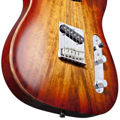 McCloud Double Cut Telecaster BODY / Tiger Wood / Walnut / Poplar / HH Routes / Hardtail / USA image 6