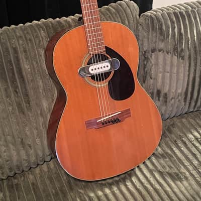Yamaha FG-75 9-String Folk Guitar image 1