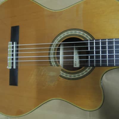 andalusia AG-6 G Guitare classique electro acoustique pan coupé Style Espagnole image 8
