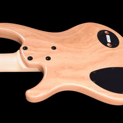 Dingwall Combustion 5-String - Natural Ash - Pau Ferro Fingerboard - B-Stock image 6
