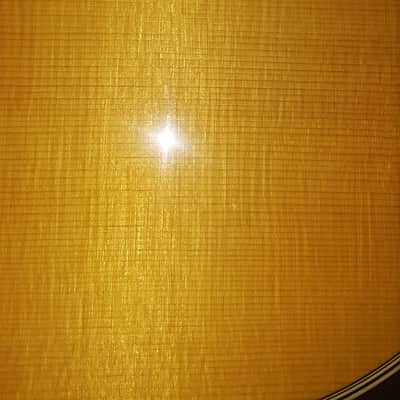 Martin 50th Anniversary D-35 Brazilian / German top image 8