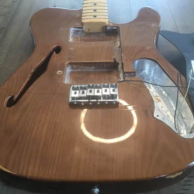Fender Telecaster Thinline 1973 - 1978 - Walnut (Mocha) image 24