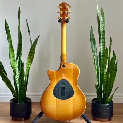 Taylor T5 image 2